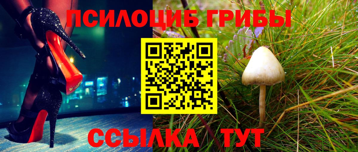 Лесной  Галлюциногенные грибы MAGIC MUSHROOMS  магазин продажи   Псилоцибиновые грибы мухоморы  Вход с VPN 