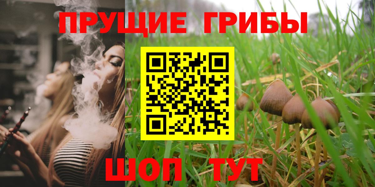 Псилоцибиновые грибы Cubensis Лесной